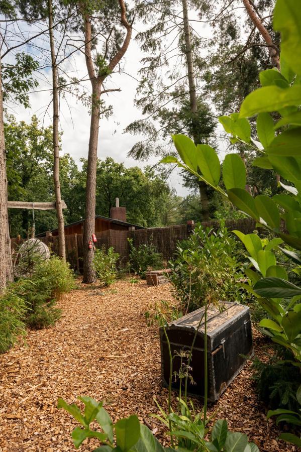 Zen-Bungalow No 4 Met Sauna En Hottub Rheezerveen Exteriér fotografie